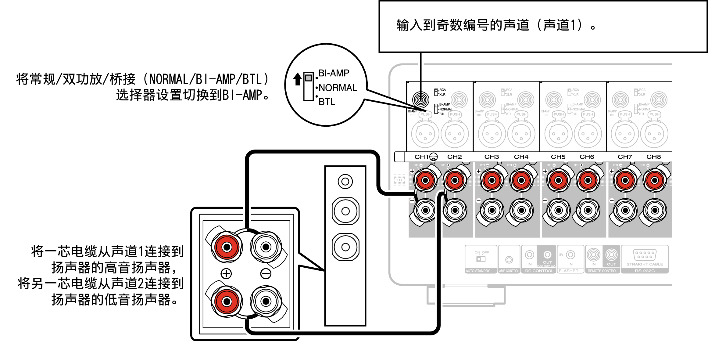 Conne SP BiAmp AMP10